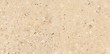 TERRAZZO STONE WARM BEIGE MATT RECT 59,8X119,8 G1