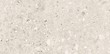 TERRAZZO STONE WHITE MATT RECT 59,8X119,8 G1